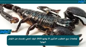توقعات برج العقرب الاثنين 21 يوليو 2025: كيف تحمي نفسك من التوتر اليوم؟